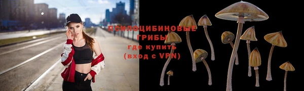дурь Богданович